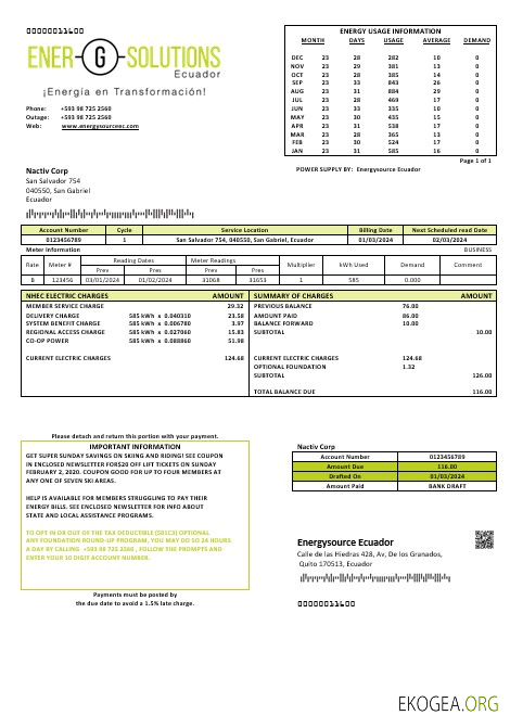 Modèle de facture de services publics d'énergie d'Equateur Energysource Equateur (2)